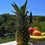 Siena *